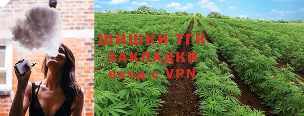 ГАЛЛЮЦИНОГЕННЫЕ ГРИБЫ Заволжск