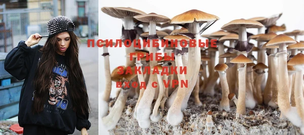 кокс Заводоуковск