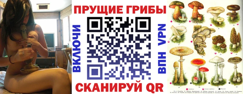Галлюциногенные грибы мухоморы  Купить где  Борзя 